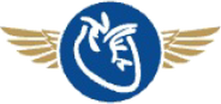 Capital Med cardiac care icon with gold wings and a navy medical emblem
