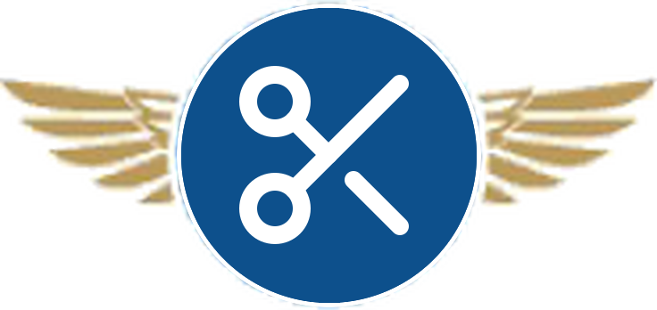 Capital Med advanced surgery icon with gold wings and a navy medical emblem
